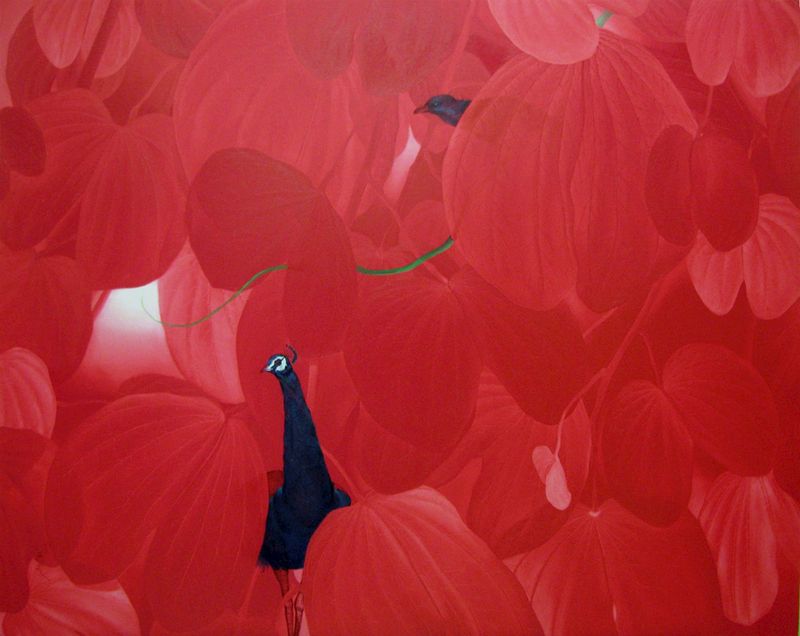 Peacock