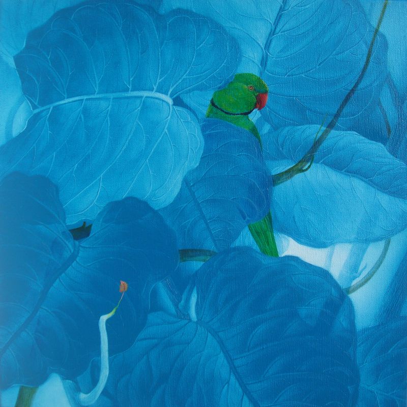 Parrot