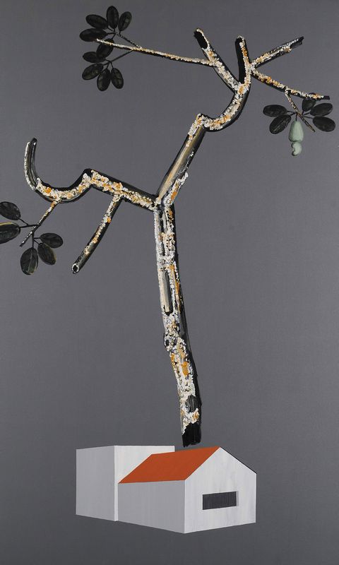 ''House and A little cashew tree''